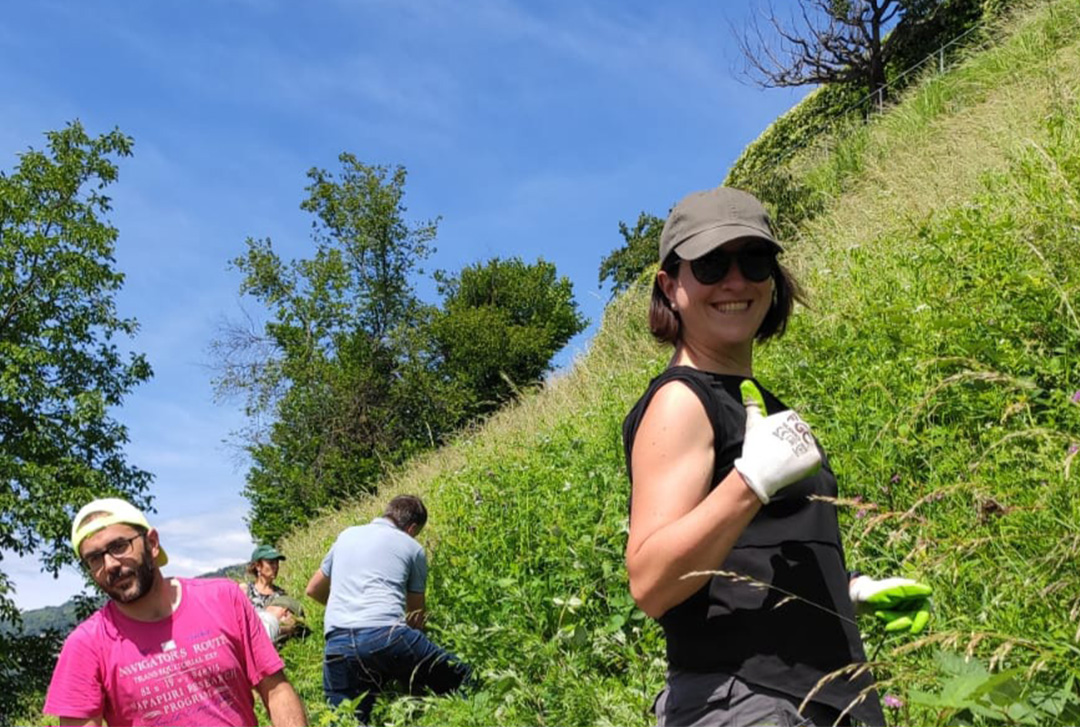 IBSA Volunteering