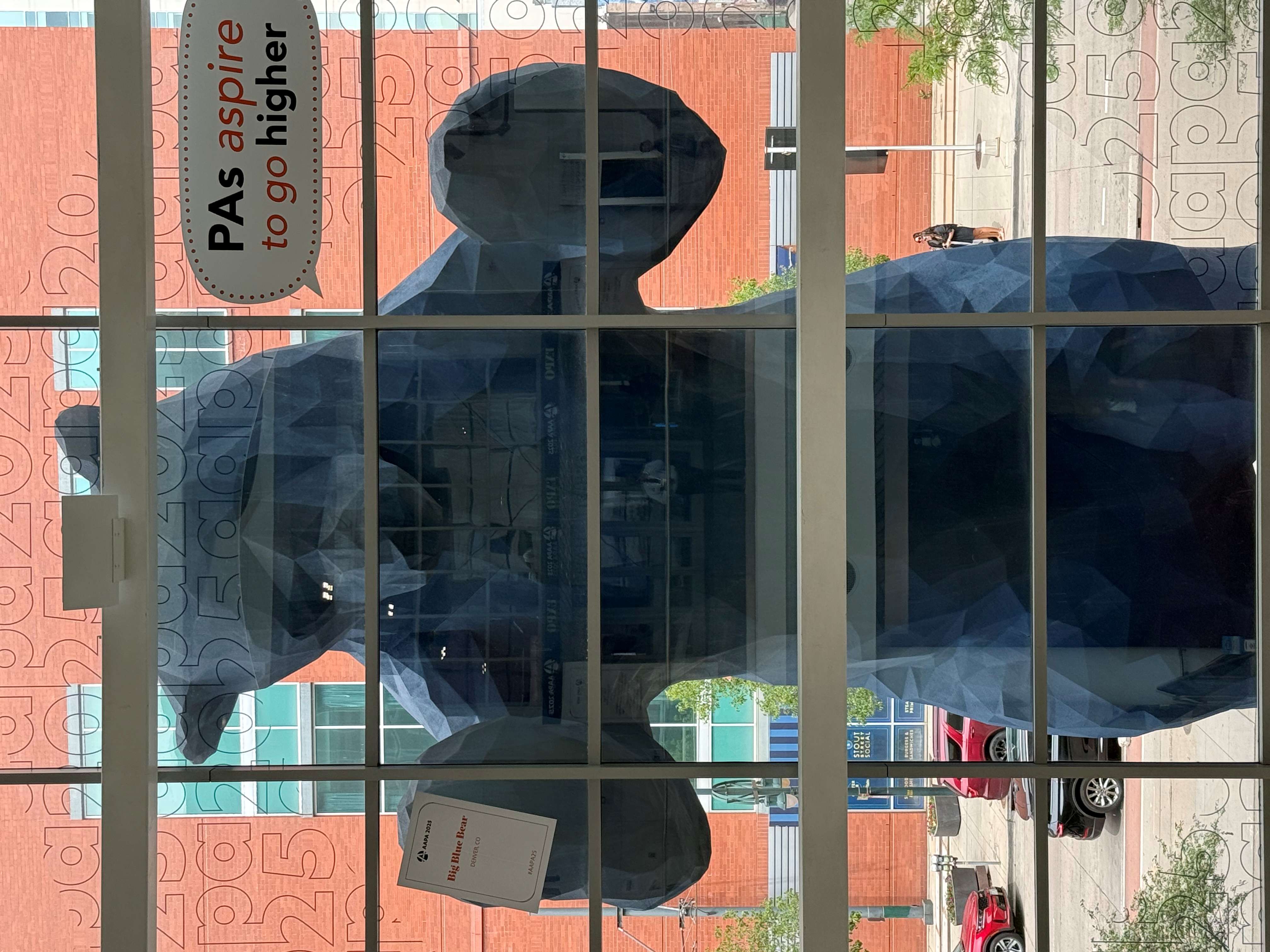 AAPA 2025 Bear