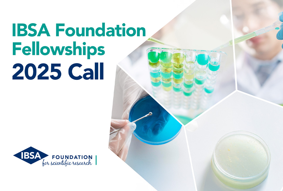 IBSA Foundation Fellowships 2024